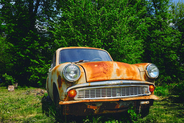 Rusty old car among the green bushes in summer.