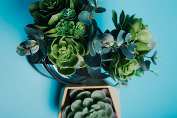 decorative elements for the living room interior: eco-friendly wooden vase for plastic succulent,...