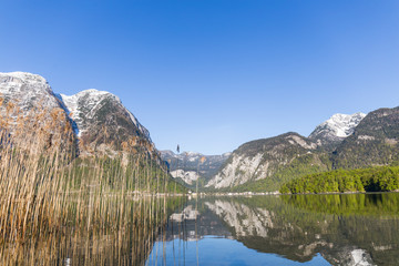 lake with aquatic plants between mountains in which are reflected in Austria