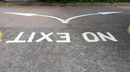 No Exit painted white onto the road and viewed upside down with a split arrow indicating alternative directions
