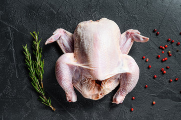 Raw whole poult with rosemary and pink pepper. Black background. Top view
