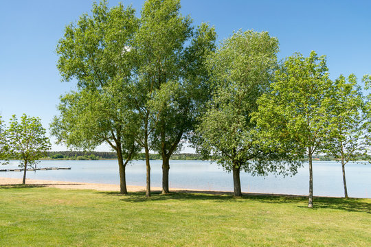 Der Altm&uuml;hlsee im Fr&auml;nkischen Seenland ist ein beliebtes Ausflugsziel. Der See und die Wander- sowie Radwege ziehen sowohl sportbegeisterte als auch erholungssuchende Besucher an.