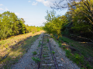 Obraz premium rail road in the forest