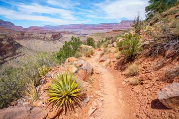 hiking the grandview trail at the south rim of grand canyon in arizona,usa