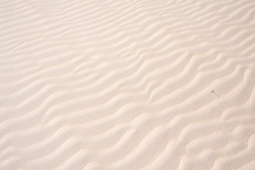 Fototapeta na wymiar Golden sand in the dune, background of sand in the desert