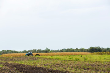 A tractor plows a field with a plow. Rural landscape of an agricultural country. Sow season