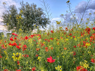 Después de confinamiento