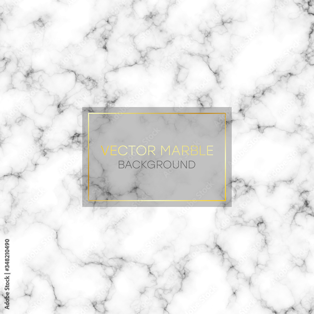 Poster marble texture. abstract marbling pattern. black and white marble background. vector illustration.