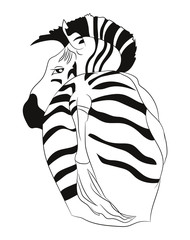 Zebra portrait vector illustration, color illustration, vector