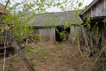 Abandoned and collapsing wooden house with an overgrown courtyard