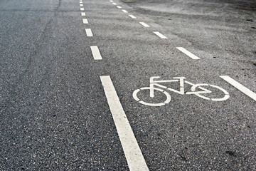 Fototapeta premium Bicycle Lanes in Park