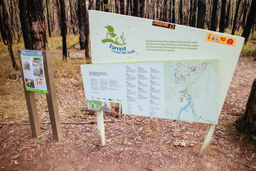 Forrest Mountain Bike Park in Australia