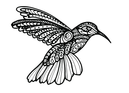 The coloring of a Hummingbird. Hand-drawn coloring book for children and adults. Beautiful drawings with patterns and small details. One of a series of drawn pictures. Logo. Tattoo