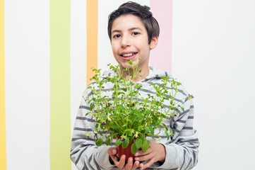 Cute young boy holding a flowerig pot in on a colorful striped backgroung. Great