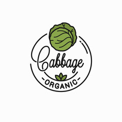 Cabbage vegetable logo. Round linear green cabbage