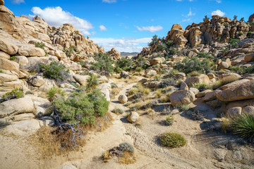Naklejka premium hiking the hidden valley trail in joshua tree national park, california, usa