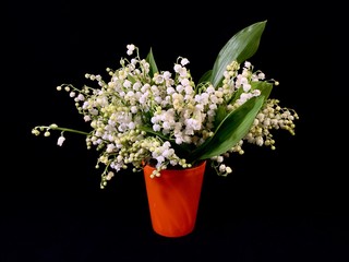 Lush bouquet of forest flowers, on a black background. White lily of the valley in bright glass. Lily of the valley with green petals and flowers.