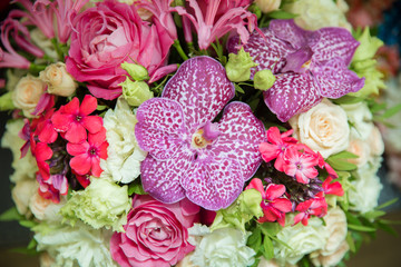 known as butterfly orchids. Beautiful bouquet of bright flowers . Purple orchid flower phalaenopsis, phalaenopsis or falah .