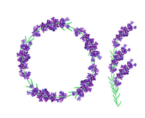 Lavender wreath isolated on transparent background. Bunch beautiful violet flowers.3D realistic lavender with copy space for your text. Fragrant lavender. Beautiful illustration
