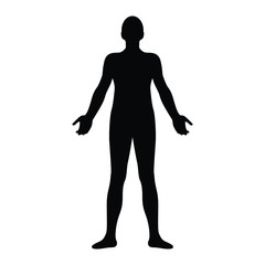 Human body silhouette, vector illustration