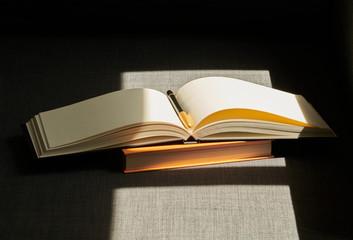 A book and a notebook with a pen in a full ray of sunshine resting on the gray sofa