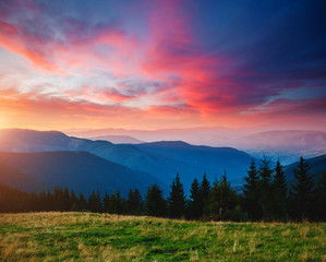 Naklejka na ściany i meble Beautiful alpine highlands in morning light. Location place Carpathian mountains, Ukraine.