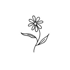 One flower with black lines on a white background with two leaves. Vector flower black and white