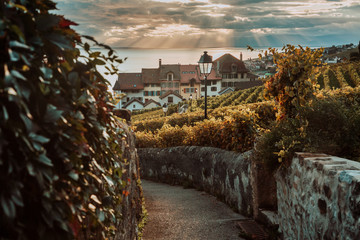 Lavaux, Switzerland: Lake Geneva and traditional swiss hauses during sunset seen from Lavaux vineyard hiking trail in Canton Vaud