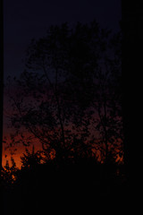 atardecer sunset
