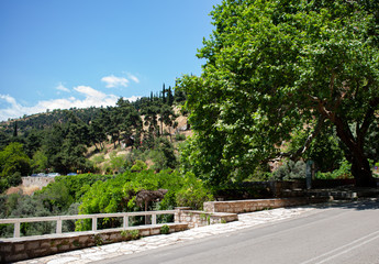 Plakat Landscape. Mountain road with trees and blue sky