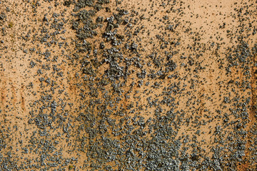 old rusty metal texture , moss on old rusty metal