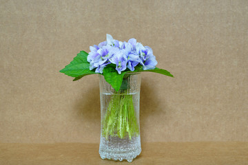 Small posy bouquet of fresh purple violet pansies