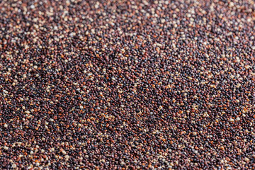 Healthy food background with red and black raw quinoa. Gluten free concept. Copy space.