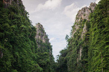 Limestone mountains
