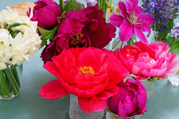 Pink tree peony flowers in a vase