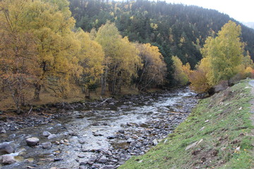 En otoño poca agua lleva el rio