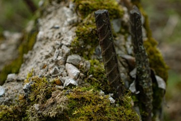 Old reinforcing structure made of concrete with grinded metal rods, overgrown with moss