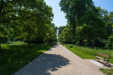 Ein Weg in einem Park in Wiesbaden/Deutchland an einem sonnigen Tag