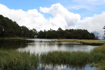 Bassa d'Oles (Vielha - Cataluña)