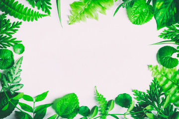 Fototapeta na wymiar Green leaves on a white backdrop, leaves on white space