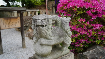 Obraz premium コマイヌ