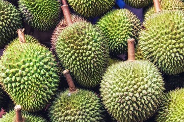 Durian, exotic fruit