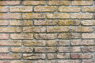mur de briques