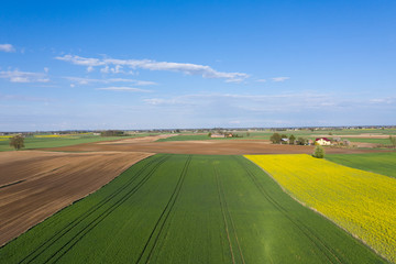 Fototapeta premium Spring at the polish fields. Drone action - above Polish spring fields