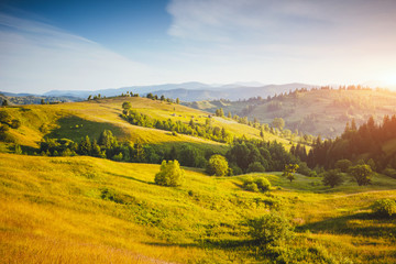Obraz premium Fantastic countryside landscape in morning light. Location place Carpathian mountains, Ukraine, Europe.