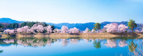 春イメージ　信州の桜風景　ワイド