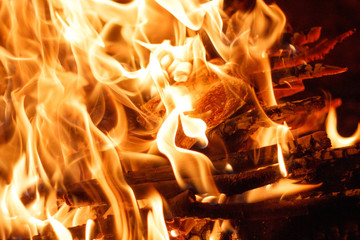 Fire flame in the night. Fire texture.  Bonfire on wood