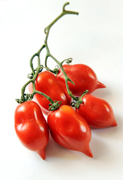 spaghetti dish with seasoning of Piennolo tomatoes from Campania and clams on white background isolated