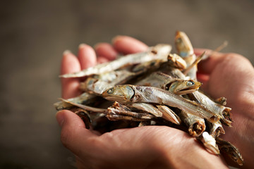 Dried small fishes in hands 