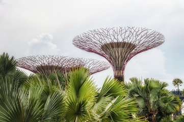 Singapore - Gardens By The Bay (Trees Of Light)